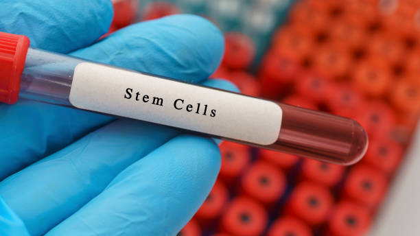 Stem Cells